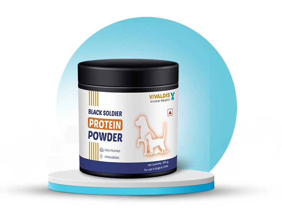 black-solder-protein-powder