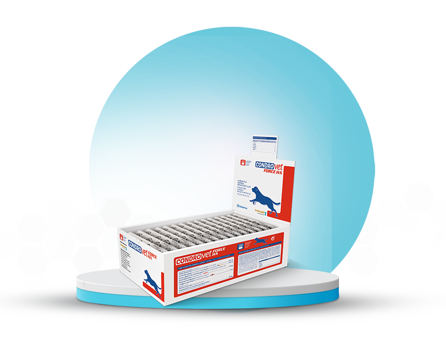 condrovet