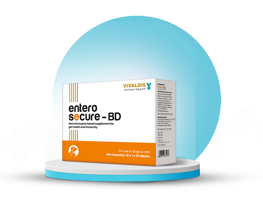 ENTEROSECURE - BD