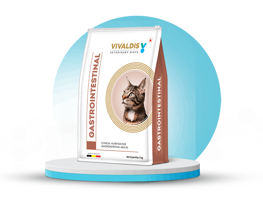 Gastrointestinal-Cat