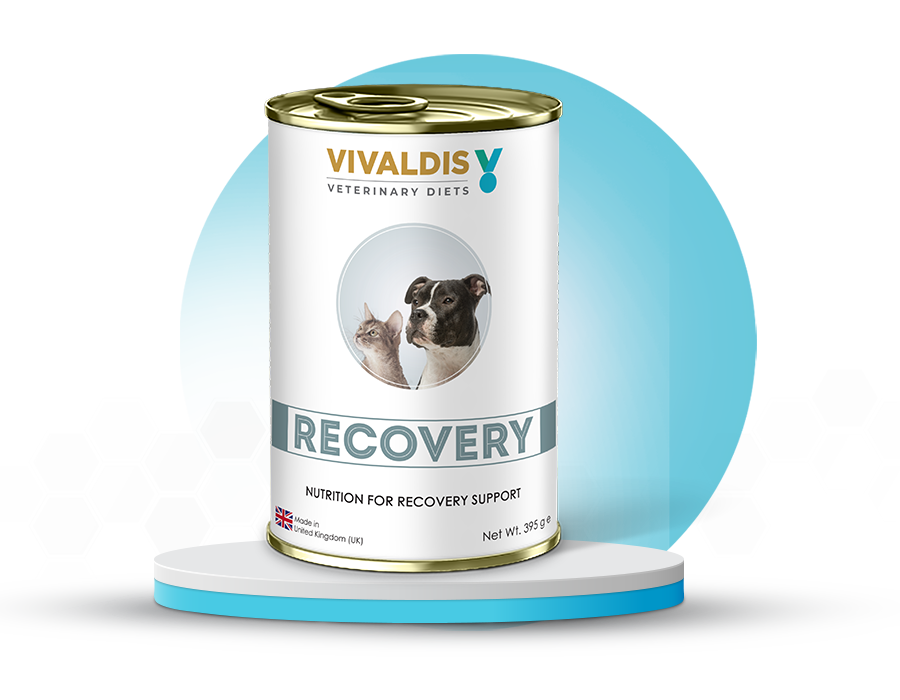 Recovery-Liquid-Dog-&-Cat