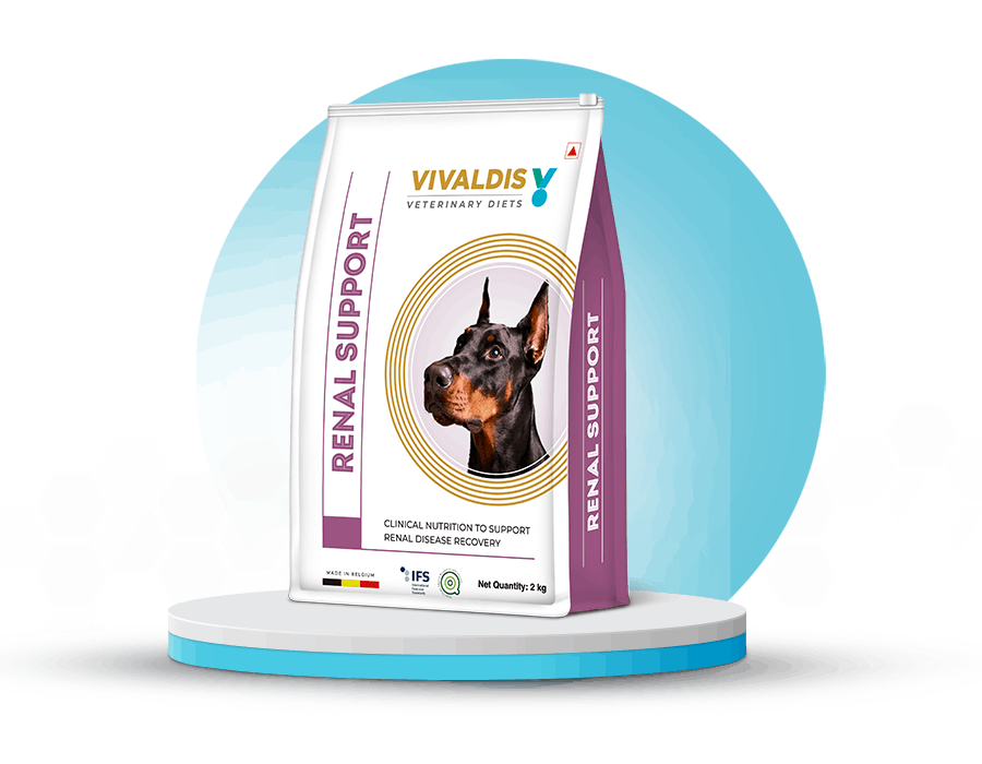 renal-support-dog