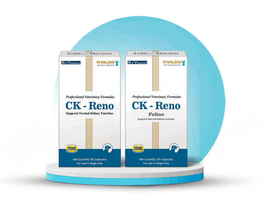 CK-Reno-&-CK-Reno-Feline