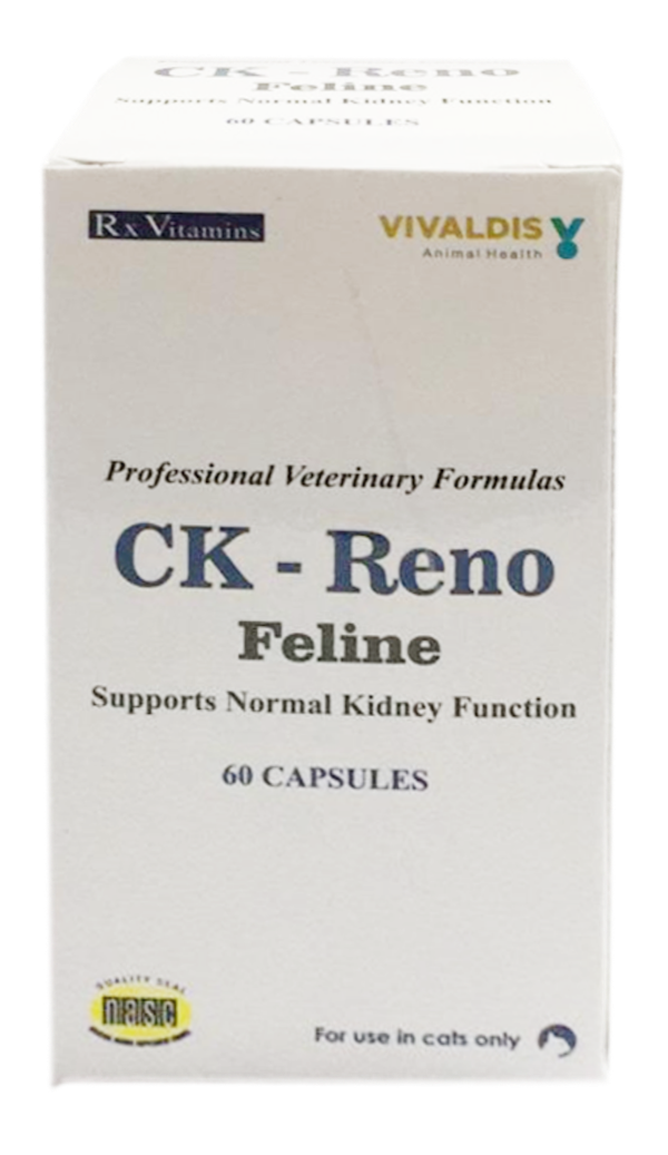 CK-Reno Feline