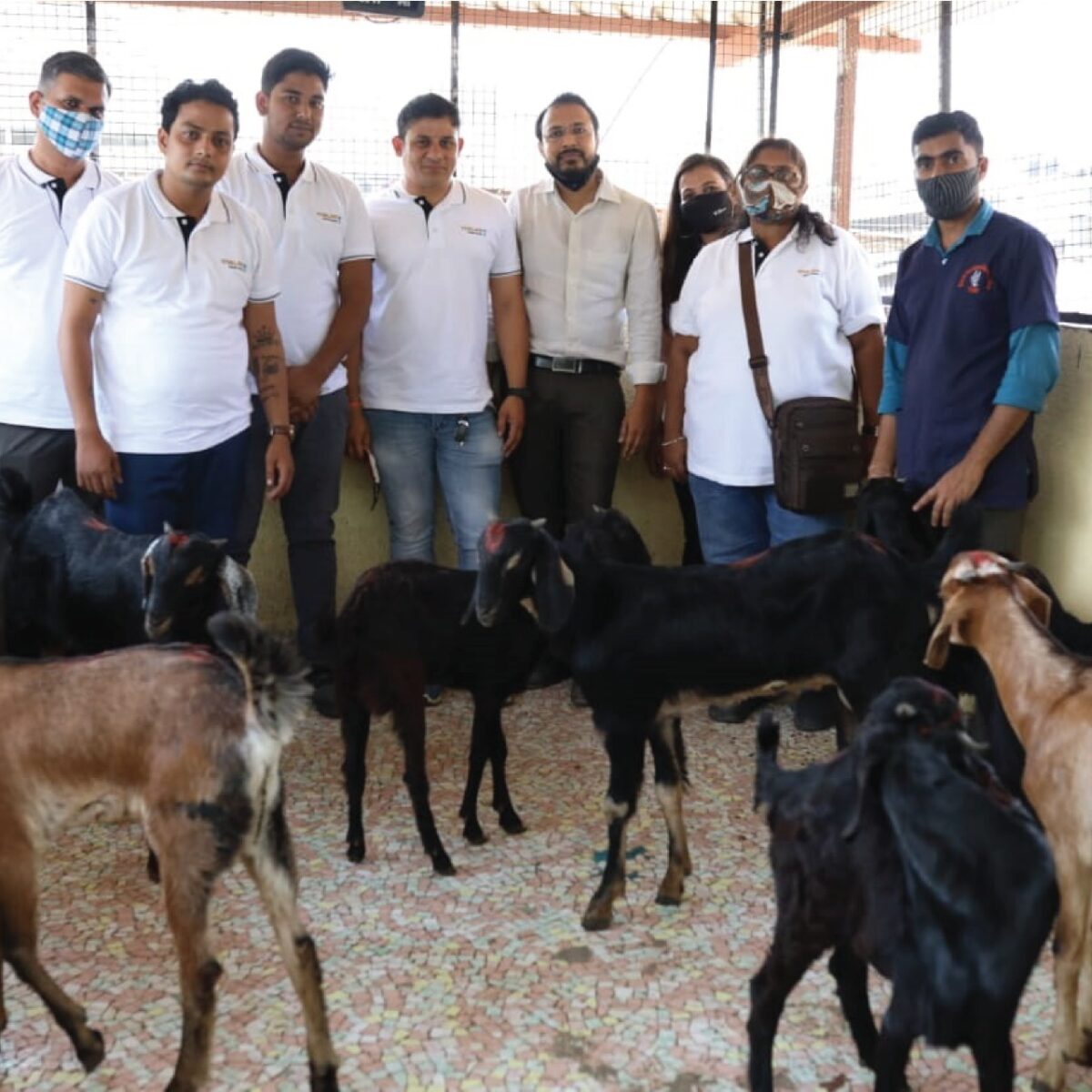 World-Stray-Animal-Day-Celebration-and-Food-Donation-Drive-01