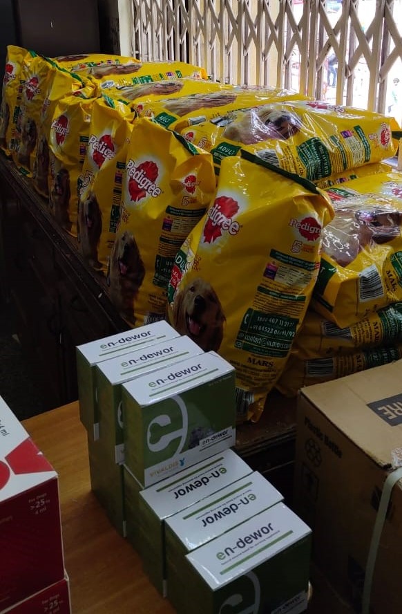 World-Stray-Animal-Day-Celebration-and-Food-Donation-Drive-05