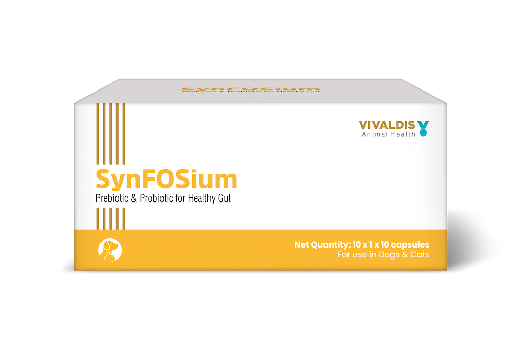 Synfosium