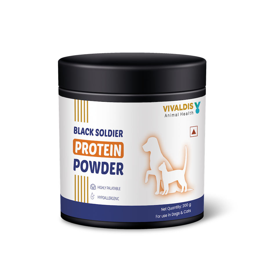 Black Soldier Protein Powder