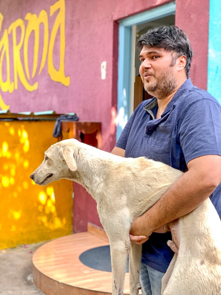 Unleash Hope - Our initiative for strays-Picture30