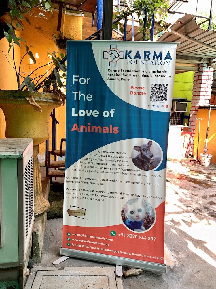 Unleash Hope - Our initiative for strays-Picture32